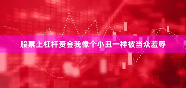 股票上杠杆资金我像个小丑一样被当众羞辱