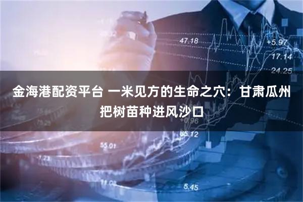 金海港配资平台 一米见方的生命之穴：甘肃瓜州把树苗种进风沙口