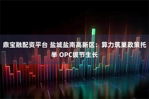 鼎宝融配资平台 盐城盐南高新区：算力筑巢政策托举 OPC拔节生长
